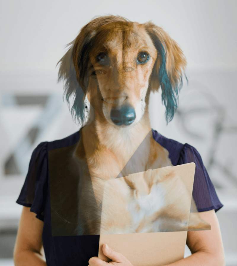 Photoshop