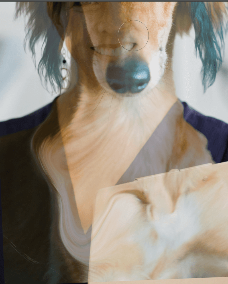 Photoshop