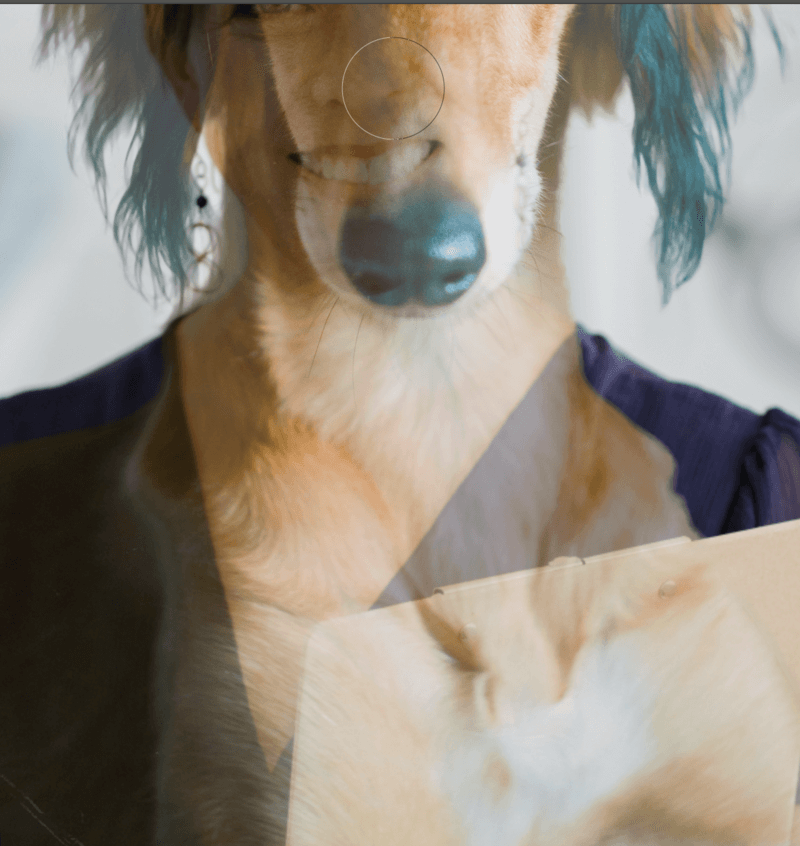 Photoshop