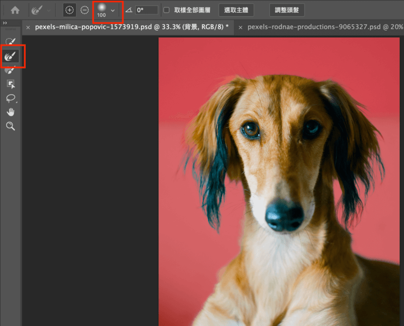 Photoshop