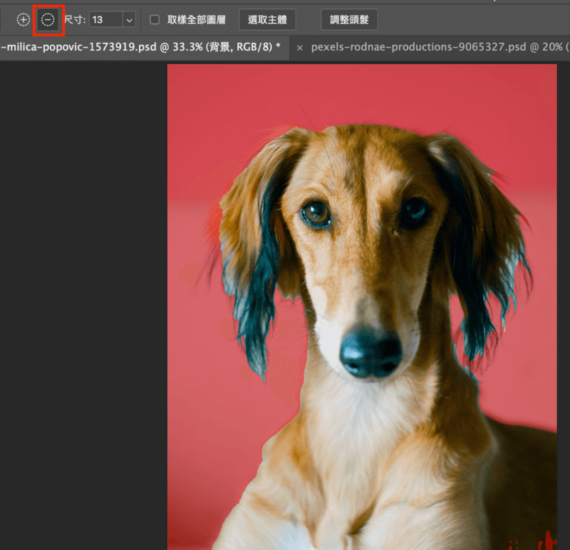 Photoshop