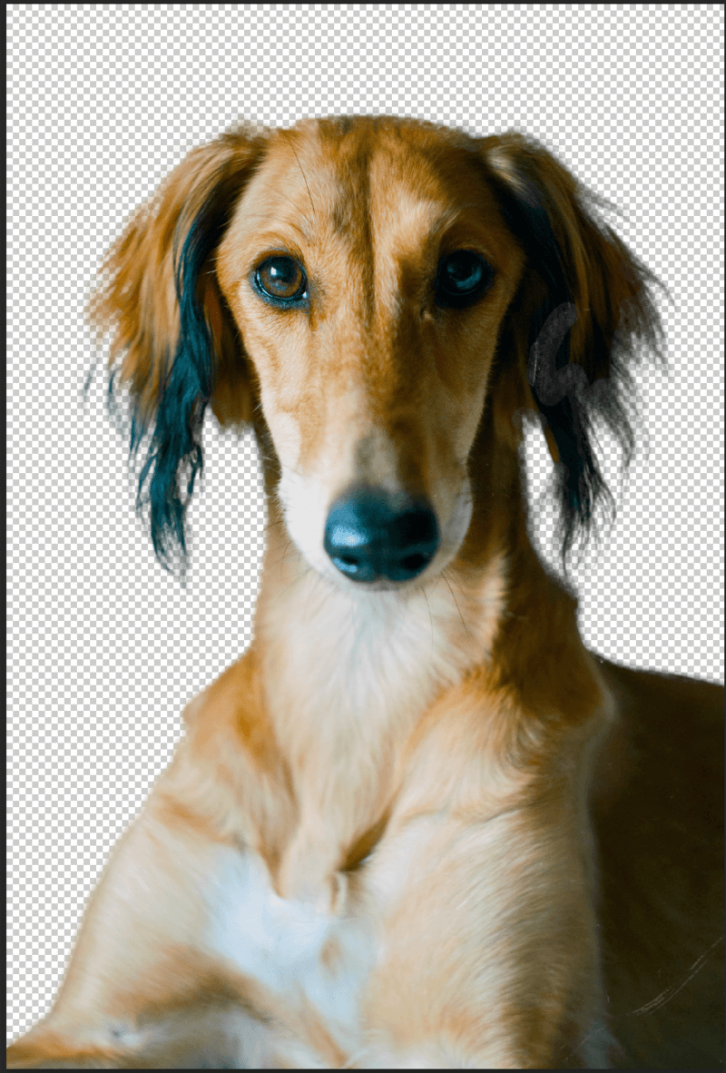 Photoshop