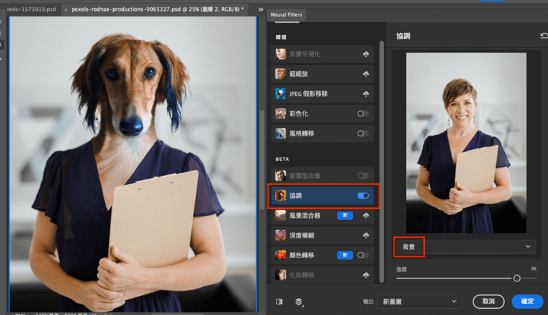 Photoshop