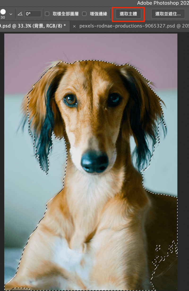 Photoshop